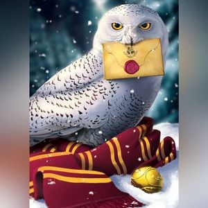 Harry Potter Hedwig DIY 5D Full Round Drill Diamond Painting